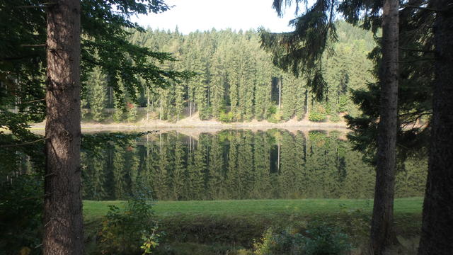 640x480/p9235601.jpg