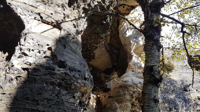 640x480/20170927_130847.jpg