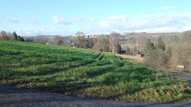 640x480/pc086539.jpg