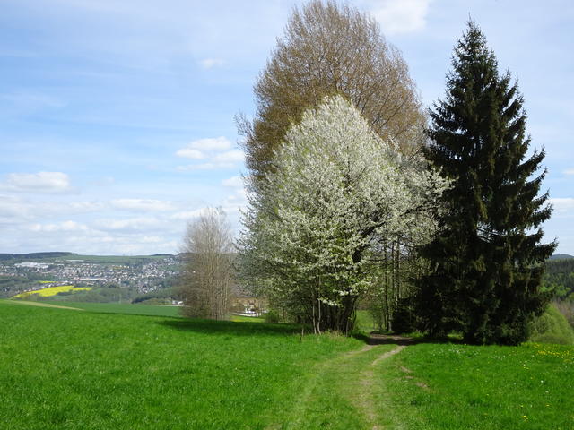 640x480/dsc03187.jpg