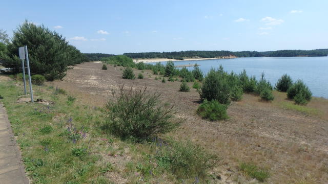 640x480/p5314905.jpg