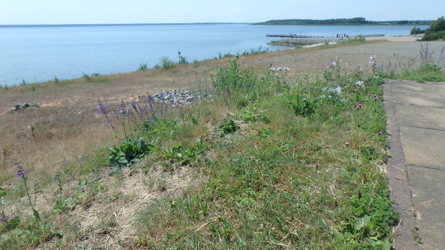 640x480/p5314906.jpg