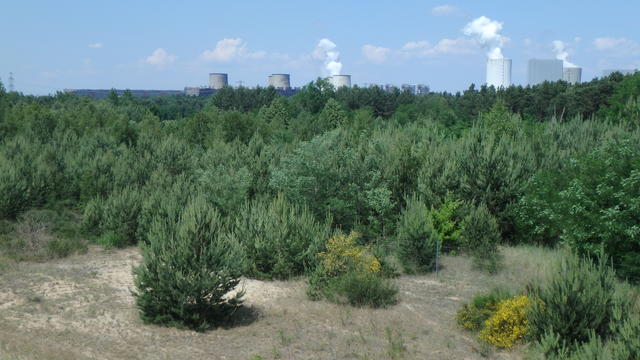 640x480/p5314911.jpg