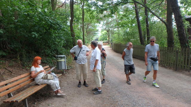 640x480/p6176784.jpg