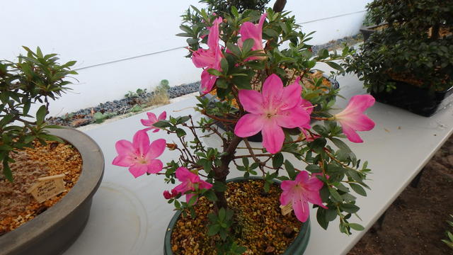 640x480/p6196980.jpg