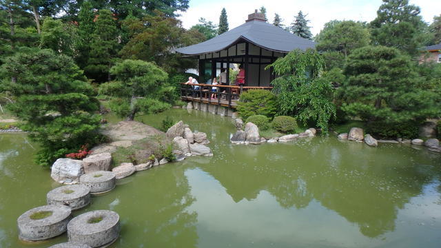 640x480/p6196983.jpg