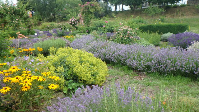 640x480/p6197011.jpg