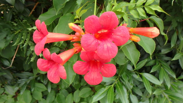 640x480/p6197015.jpg