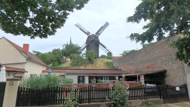 640x480/p6197026.jpg