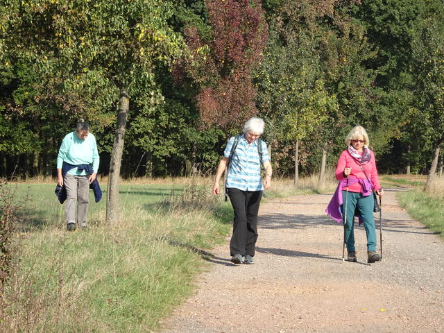 640x480/dsc06246.jpg