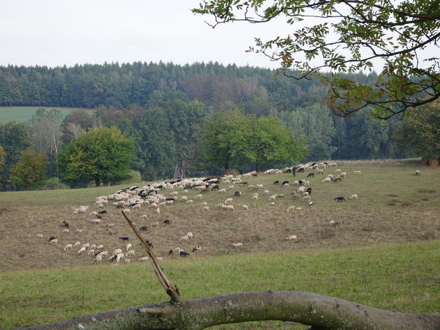 640x480/dsc06252.jpg