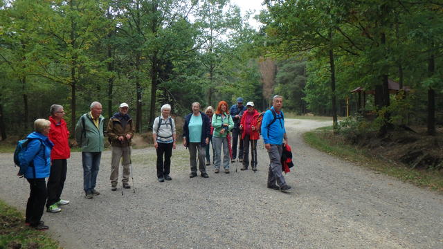 640x480/p9288595.jpg