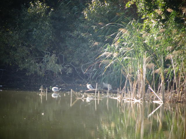 640x480/dsc06277.jpg