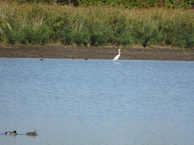 640x480/dsc06288.jpg
