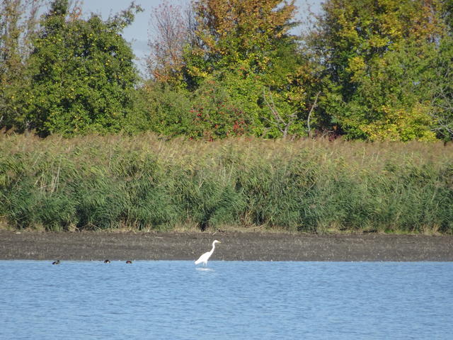 640x480/dsc06290.jpg