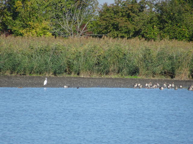 640x480/dsc06296.jpg