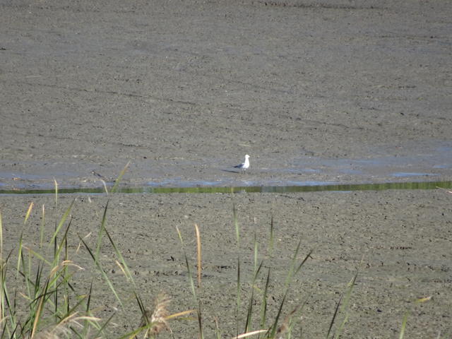640x480/dsc06301.jpg