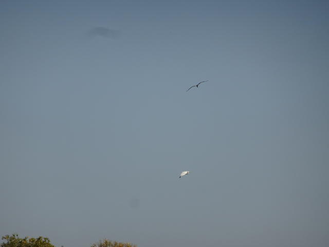 640x480/dsc06302.jpg