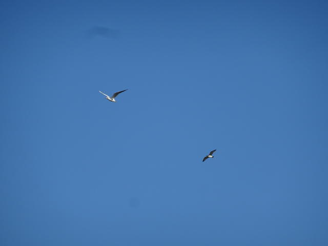 640x480/dsc06307.jpg