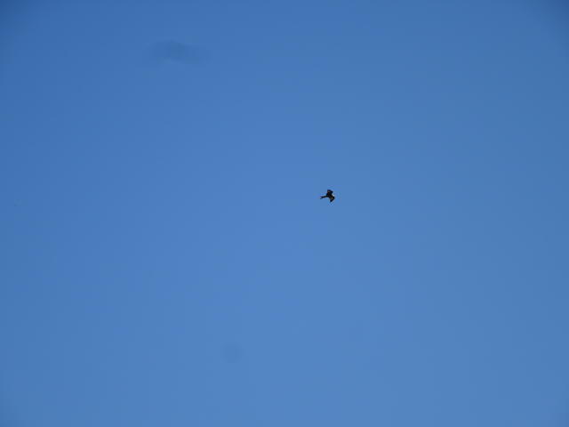 640x480/dsc06314.jpg