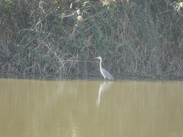 640x480/dsc06316.jpg