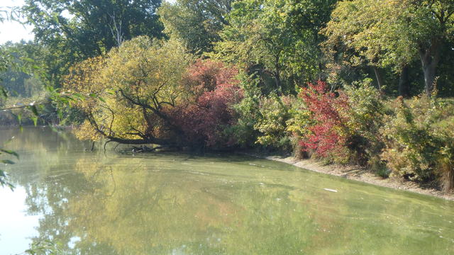 640x480/pa058620.jpg