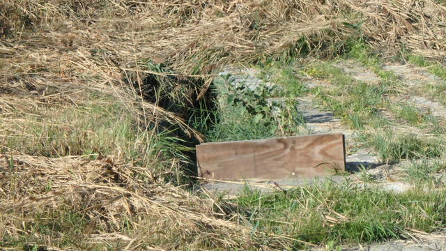 640x480/pa058621.jpg