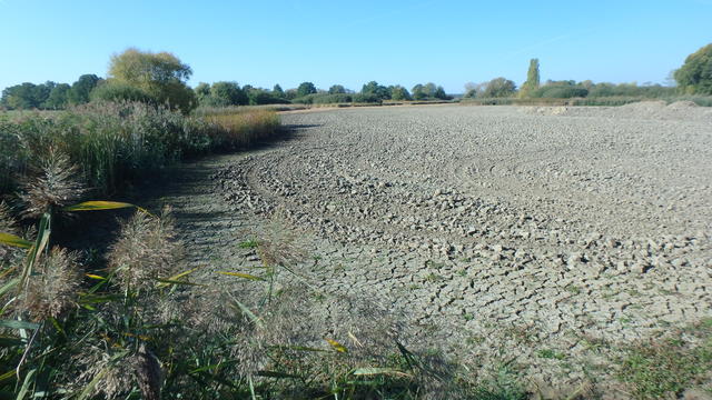 640x480/pa058622.jpg