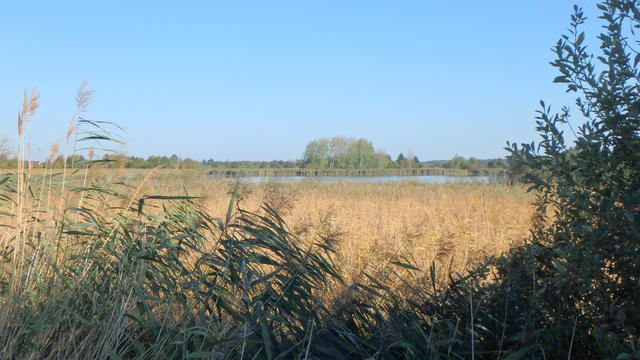 640x480/pa058623.jpg