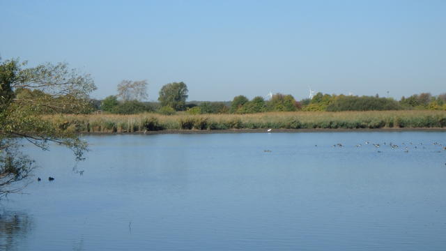 640x480/pa058626.jpg
