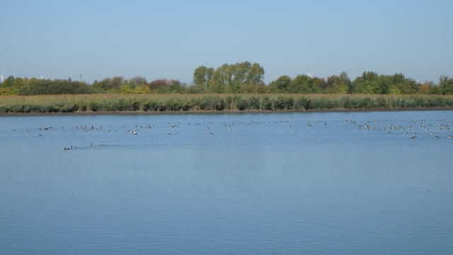 640x480/pa058627.jpg