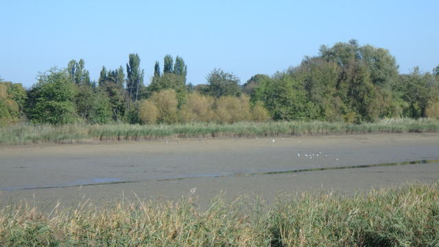 640x480/pa058630.jpg