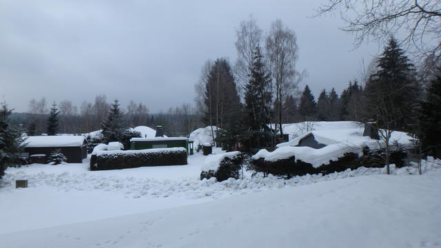 640x480/p1251018.jpg