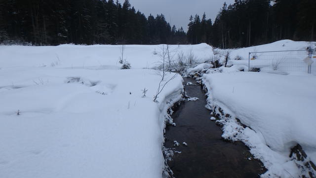 640x480/p1251039.jpg