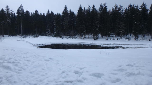 640x480/p1251042.jpg