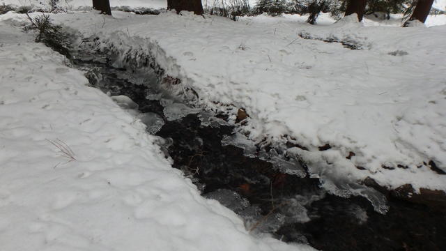 640x480/p1251046.jpg