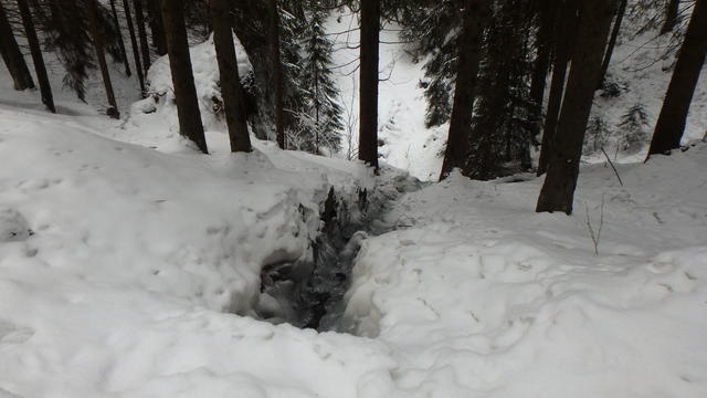 640x480/p1251047.jpg