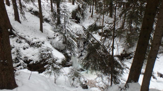 640x480/p1251049.jpg