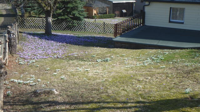 640x480/p3220251.jpg