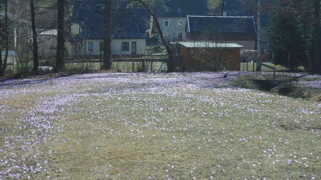 640x480/p3220255.jpg