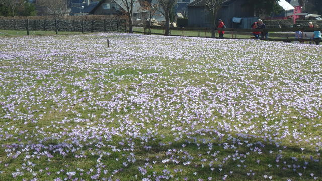 640x480/p3220260.jpg