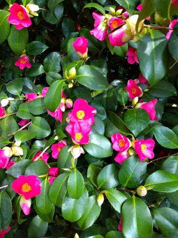 640x480/img_20190405_112836189.jpg