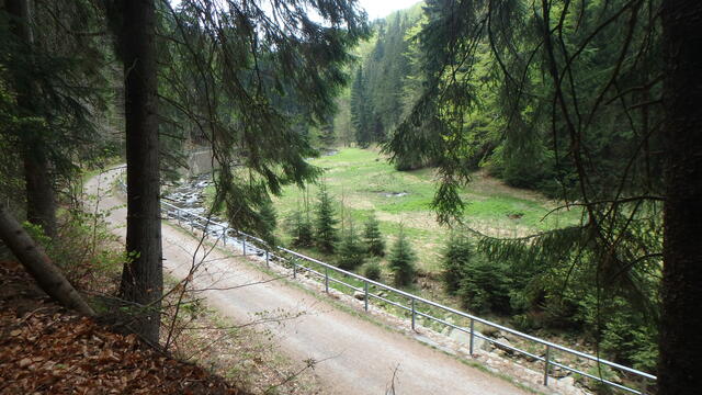 640x480/p4261995.jpg