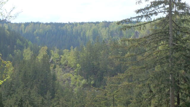 640x480/p4262002.jpg