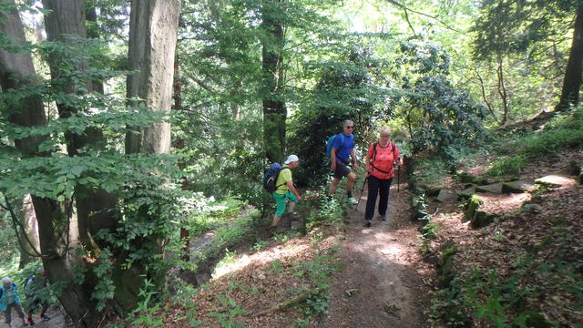 640x480/p6232421.jpg