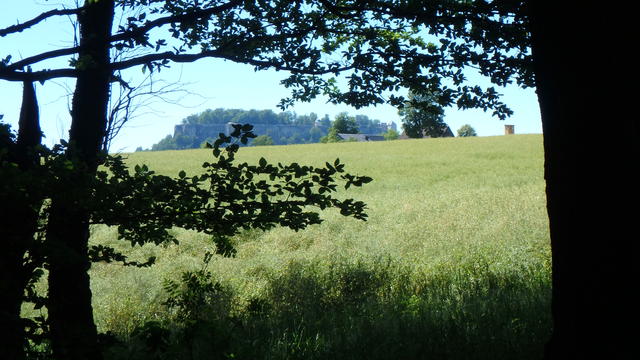 640x480/p6242511.jpg