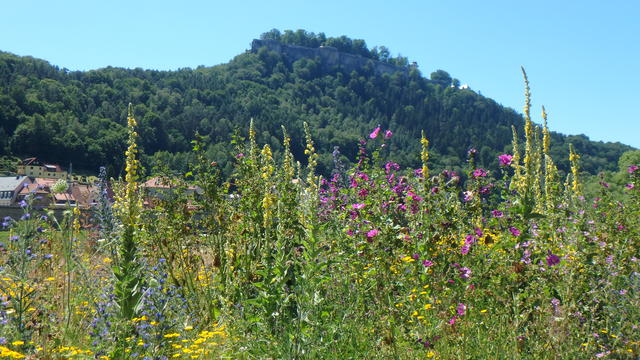640x480/p6242524.jpg