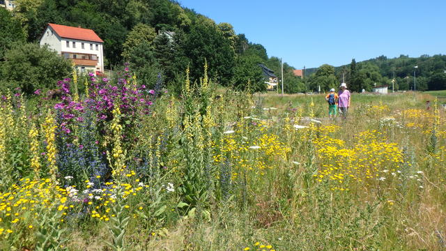 640x480/p6242526.jpg