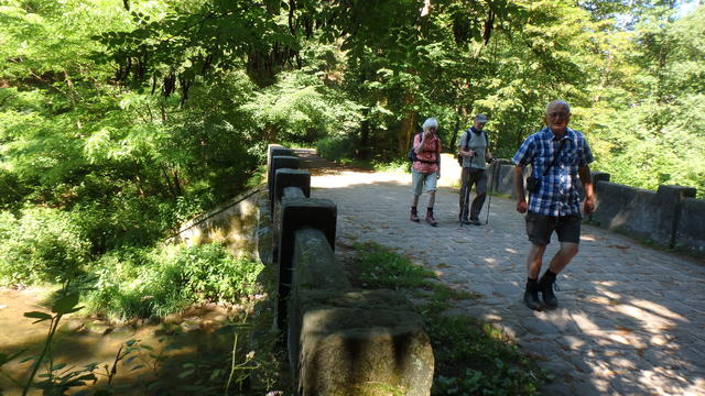 640x480/p6252552.jpg