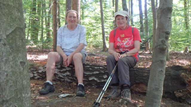 640x480/p6252557.jpg